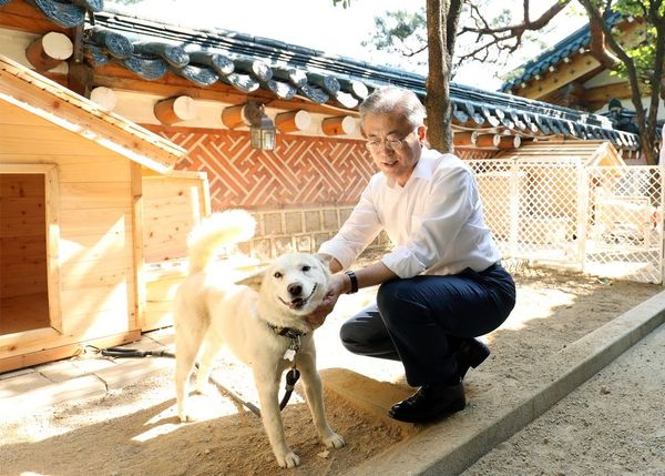 The Ex-President's North Korean Dogs
