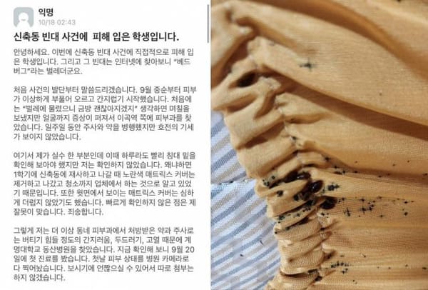 Bedbugs Return to South Korea